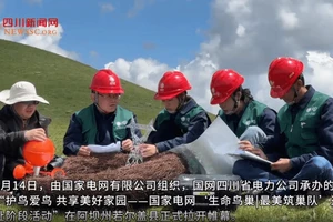 鸟类心安处 四川高原铁塔上的“生命鸟巢”这样选址